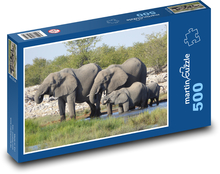 Stado słoni Puzzle 500 elementów - 46x30 cm