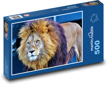 Lion - big cat Puzzle of 500 pieces - 46 x 30 cm 