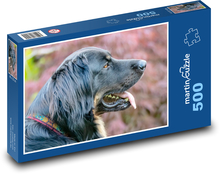 Hovawart - pes Puzzle 500 dielikov - 46 x 30 cm 