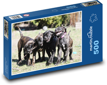 Dogs - Dogs Puzzle of 500 pieces - 46 x 30 cm 