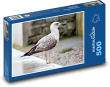 Ptak - mewa Puzzle 500 elementów - 46x30 cm