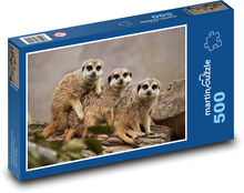 Zoo - meerkats Puzzle of 500 pieces - 46 x 30 cm 