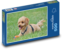 Pudel - pies Puzzle 500 elementów - 46x30 cm