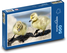 Mláďatá husí Puzzle 500 dielikov - 46 x 30 cm 