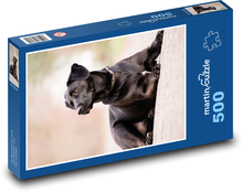 Labrador - Hund Puzzle 500 Teile - 46 x 30 cm