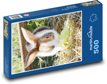 Hauskaninchen Puzzle 500 Teile - 46 x 30 cm
