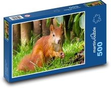 Veverka - hlodavec Puzzle 500 - 46x30 cm