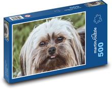 Hund - Terrier Puzzle 500 Teile - 46 x 30 cm