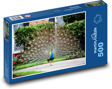 Vták - páv Puzzle 500 dielikov - 46 x 30 cm 