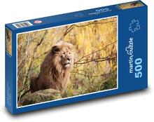 Lion - beast Puzzle of 500 pieces - 46 x 30 cm