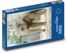 Indischer Elefant Puzzle 500 Teile - 46 x 30 cm
