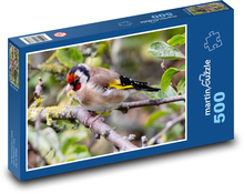 Bird - barb Puzzle of 500 pieces - 46 x 30 cm 