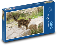 Wild cat Puzzle of 500 pieces - 46 x 30 cm 