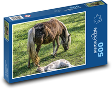Klacz - źrebię Puzzle 500 elementów - 46x30 cm