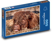 Cow - young cattle Puzzle of 500 pieces - 46 x 30 cm 