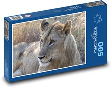 Lioness - wild animal Puzzle of 500 pieces - 46 x 30 cm 