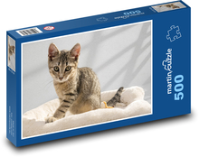 European Shorthair Puzzle 500 elementów - 46x30 cm
