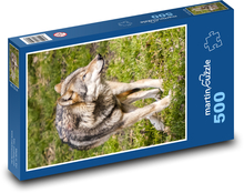 Vlk - savec Puzzle 500 dílků - 46 x 30 cm