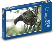 Ptak - cietrzew Puzzle 500 elementów - 46x30 cm