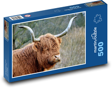Highland cattle - cow Puzzle of 500 pieces - 46 x 30 cm 
