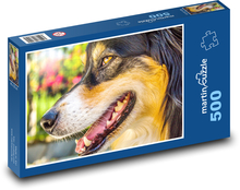 Australian Shepherd - Dog Puzzle of 500 pieces - 46 x 30 cm 