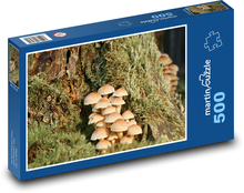 Natur - Pilze Puzzle 500 Teile - 46 x 30 cm