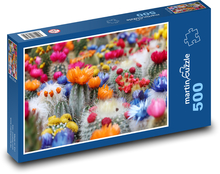 Kaktus - květy Puzzle 500 dílků - 46 x 30 cm