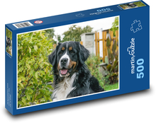 Bernský salašnícky pes Puzzle 500 dielikov - 46 x 30 cm 