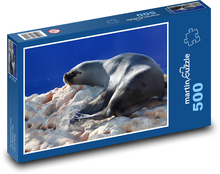 Meeresfrüchte - Seelöwe Puzzle 500 Teile - 46 x 30 cm