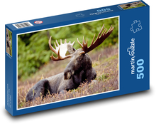 Zwierzę - łoś Puzzle 500 elementów - 46x30 cm