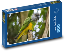 Papagáj - vták Puzzle 500 dielikov - 46 x 30 cm 