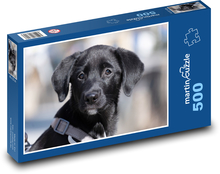 Labrador - pies, szczeniak Puzzle 500 elementów - 46x30 cm