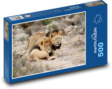 Republika Południowej Afryki - Lwy Puzzle 500 elementów - 46x30 cm