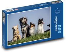 Zwierzęta - Psy Puzzle 500 elementów - 46x30 cm