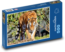Tiger - Big Cat Puzzle of 500 pieces - 46 x 30 cm 