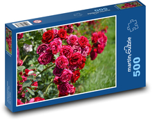 Červená růže Puzzle 500 dílků - 46 x 30 cm