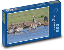Afryka - zebra Puzzle 500 elementów - 46x30 cm