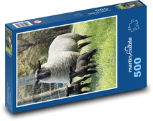 Sheep - lambs Puzzle of 500 pieces - 46 x 30 cm 