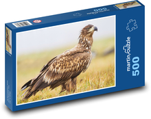 Orzeł bielik Puzzle 500 elementów - 46x30 cm