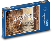 Dalmatín - pes Puzzle 500 dielikov - 46 x 30 cm 