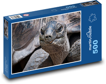 Želva - plaz Puzzle 500 dílků - 46 x 30 cm