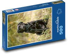 Čierny labrador - pes Puzzle 500 dielikov - 46 x 30 cm 