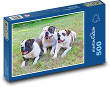 American Bulldogs in the Grass Puzzle of 500 pieces - 46 x 30 cm 