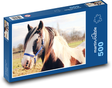 Hlava bílo-hnědého koně Puzzle 500 - 46x30 cm