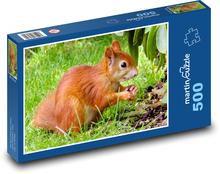 Hrdzavá veverička na tráve Puzzle 500 dielikov - 46 x 30 cm 