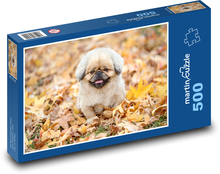 A small dog on autumn leaves Puzzle of 500 pieces - 46 x 30 cm 