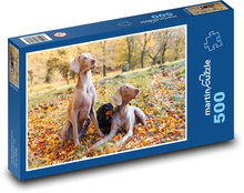 Jezevčík ve společnosti loveckých ohařů Puzzle 500 dílků - 46 x 30 cm