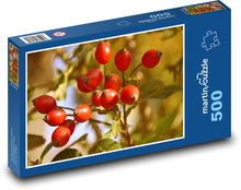 Rosehip bush Puzzle of 500 pieces - 46 x 30 cm 