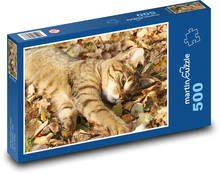 W liściach leży otoczony murem kot Puzzle 500 elementów - 46x30 cm