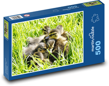 Wasservögel-Küken Puzzle 500 Teile - 46 x 30 cm